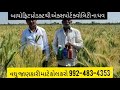 વાત કરો મો,9664856306 NETSURF BAYOFIT RIJALAT ઇઝરાઇલ ટુકડા ઘવ