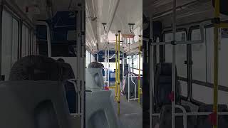 Viajando en la lobera por San Esteban #linea88 #cañuelas #bondis #viral