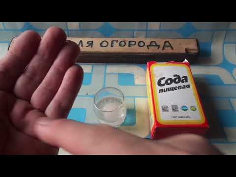 Прощай вечный насморк и сопли.