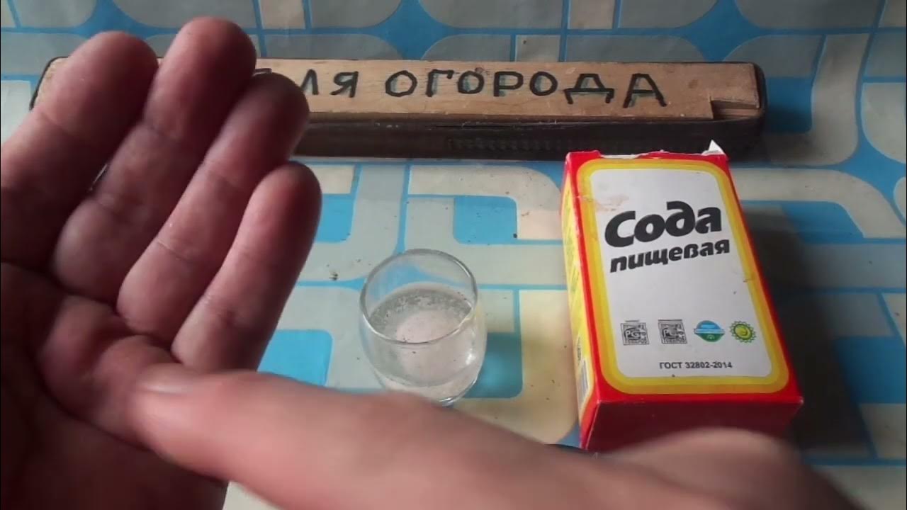 Прощай вечный насморк и сопли. - YouTube
