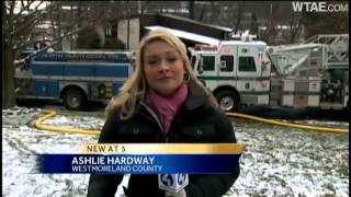 Firefighter rescues dog from burning home in Irwin