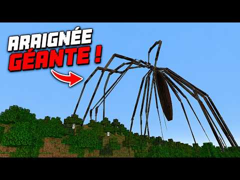 J'ai joué à ce mod alors que j'ai l'arachnophobie...