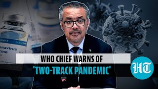 can Be Disastrous Who Chief On Lifting Covid19 Restrictions too Quickly