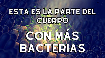 ¿Qué parte del cuerpo tiene más bacterias?