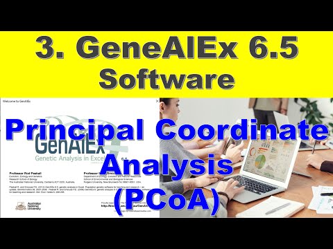 How to analyze Principal Coordinates Analysis (PCoA) | Population genetics #StudentsCanCreate