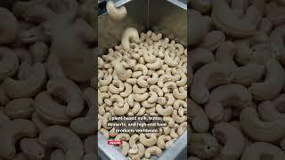 UNBELIEVABLE Hidden Billion-Dollar Industry of Cashew Export & Processing Business 💰 | Global Market