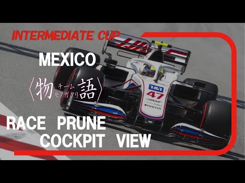 イン杯　メキシコgp　プルーン視点