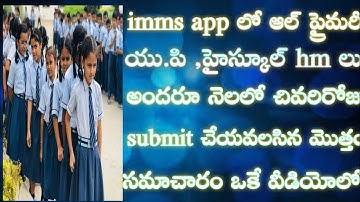 how to submit  all confermations at end of month in imms app