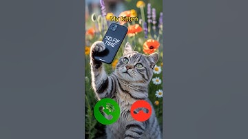 catcall #aicat #ringtone #ringtones #iphone #cat #shorts #catcalling #monkcall #monk #smartphone