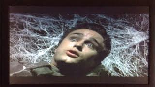 Spiders (2000) - Slick's death scene