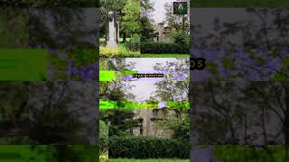 Fantasmas en la isla: el sanatorio embrujado de Cantabria que aterra a España #fantasmas #misterio