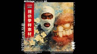 (FREE) JAZZY & SOUL VINTAGE SAMPLE KIT "AKIMBO" 70s Samples (Alchemist,Westside Gunn,Joey Badass)
