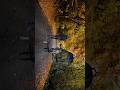 i used after effects and balnder #blender #edit #telugu #trending #3d #shorts