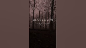 سورة البقرة آية شهر رمضان محمد الفقية