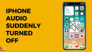 iPhone sound suddenly stopped working | iPhone audio randomly stops | Sound not working iPhone