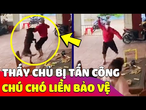 Video: Lỗ nhìn trộm bên phải - bảo vệ căn hộ khỏi những kẻ đột nhập