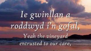 Video thumbnail of "Gwinllan a Roddwyd - Dafydd Iwan (geiriau / lyrics)"