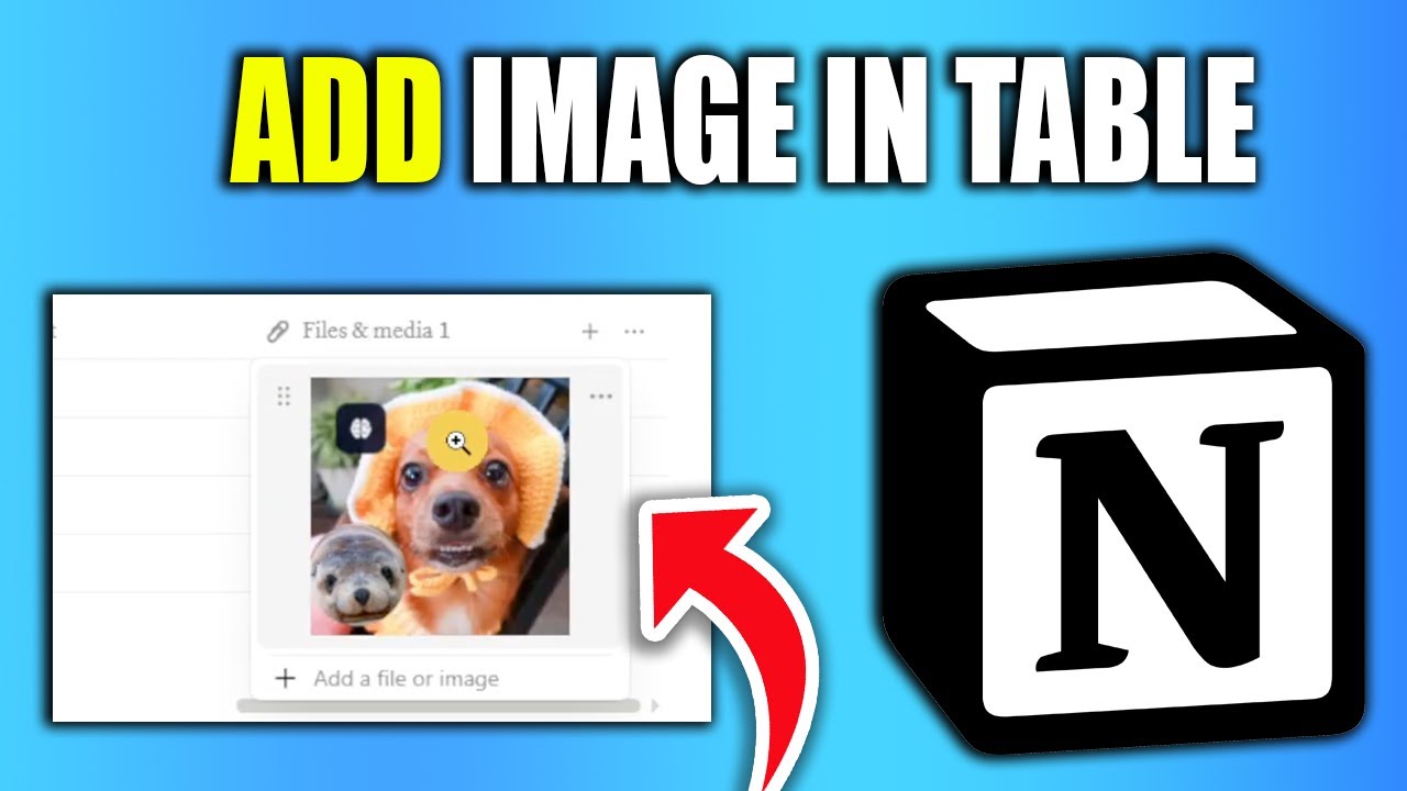 How To Add Image In Table In Notion - New Method