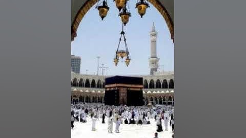ما تيسر لي من سورة البقرة تلاوة خاشعة عطرة طيبة