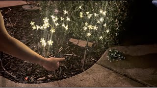 Solar Garden Lights Garden Decor, Solar Flowers Outdoor Decorative,2Pack 40LED Fairy Solar Lights Ou
