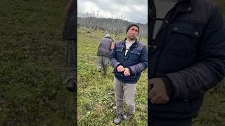 Yeni İncirlik Alıyoruz #nedimyıldıznaturel #kuruincir #zeytinyağı