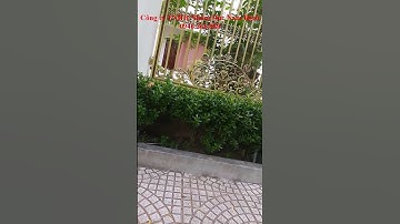 Cổng nhôm đúc lâu đài