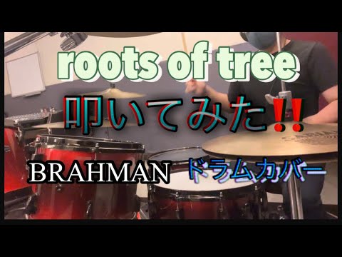 ブラフマン　「roots of tree」 ドラムカバーしてみた！