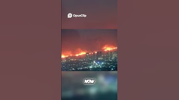 Wildfire Alert  What You Need to Know Now