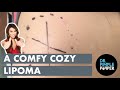 A Comfy Cozy Lipoma