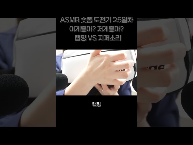 이게좋아? 저게좋아? 파우치 소리 탭핑 VS 지퍼