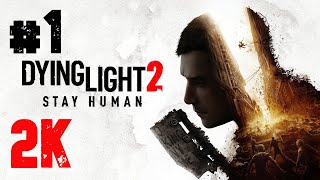 Dying Light 2: Stay Human ⦁ Прохождение #1 ⦁ Без комментариев ⦁ 2K60FPS