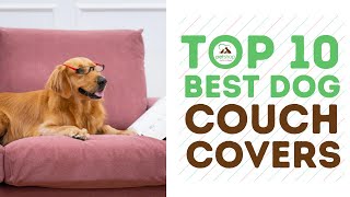 Top Best Dog Couch Covers