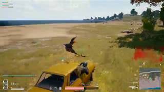 PUBG Vehicular Homicide