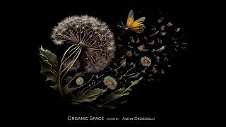 Askin Dedeoglu - Organic Space