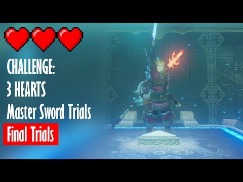 Video: Cineva A Fost Deja Bătut Zelda: Breath Of The Wild DLC Noul Dur Trial Of The Sword