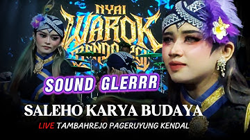 SOUND HOREG !!! WAROK NYAI BENDOLEGI - SALEHO KARYA BUDAYA - LIVE TAMBAHREJO PAGERUYUNG KENDAL