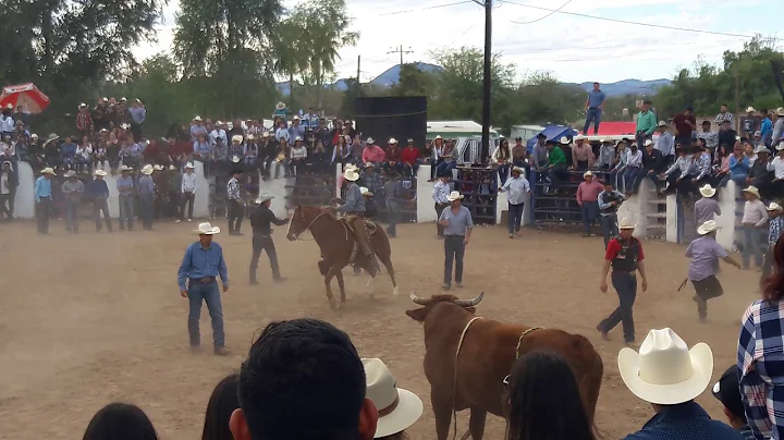 Fiestas de la candelaria El Sauz de Ures 2019- Ger...