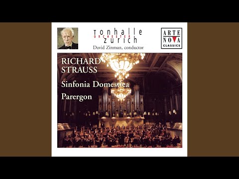 Sinfonia Domestica, Op. 53: II. Scherzo