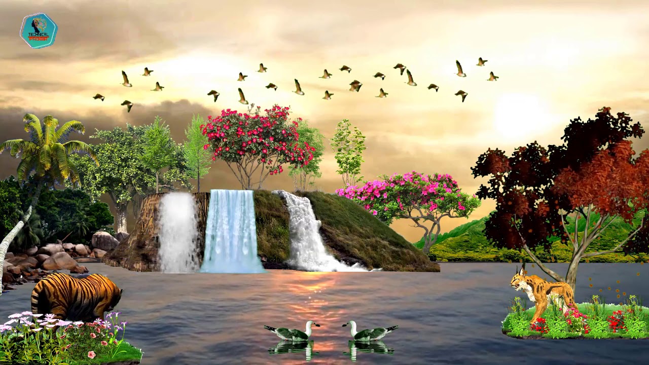 Animals Waterfall Nature Animation. - YouTube