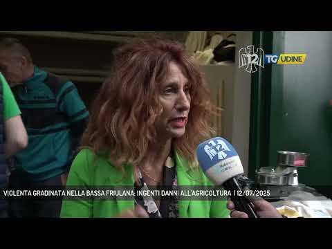 VIOLENTA GRADINATA NELLA BASSA FRIULANA: INGENTI DANNI ALL'AGRICOLTURA  | 12/07/2025