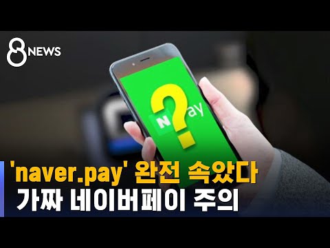   Naver Pay 완전 속았다 8천만 원 뜯어낸 가짜 사이트 SBS