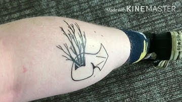 D.I.D.- Coexisting with your persecutor alters!