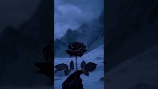 Winter mountains 03:20