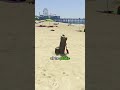 GTA 5 Is A Freaky Game! #gta5 #gtav #gtaonline