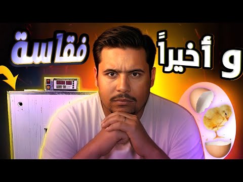 هل فشلت التجربة فقاسة 240 بيضة أوتوماتيك النتيجة صدمتني