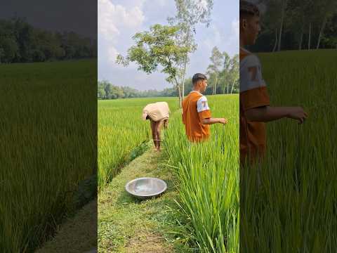 Waraga Ni Tye Ka Koko Funny Dothingsyoudontwanttodo Dothingsyoudontwanttodo