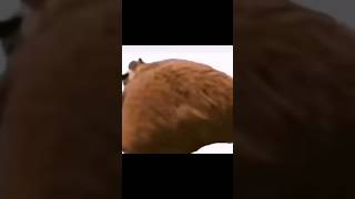 Top 5 Scariest JumpScares!!😱😰 #scary #creepy #meme #memes
