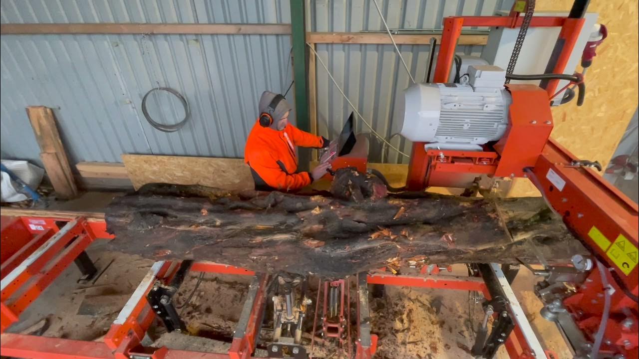 Woodmizer LT40 Wide milling Yew wood in Fife, UK YouTube