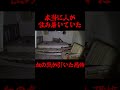 ※人怖の恐怖に血の気が引いた動画! #shorts #人怖 #心霊