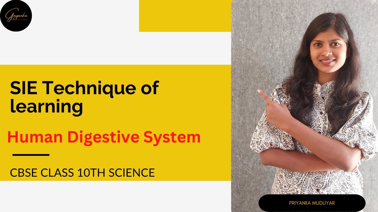 SIE Technique to learn Human Digestive System to retain in your long term memory